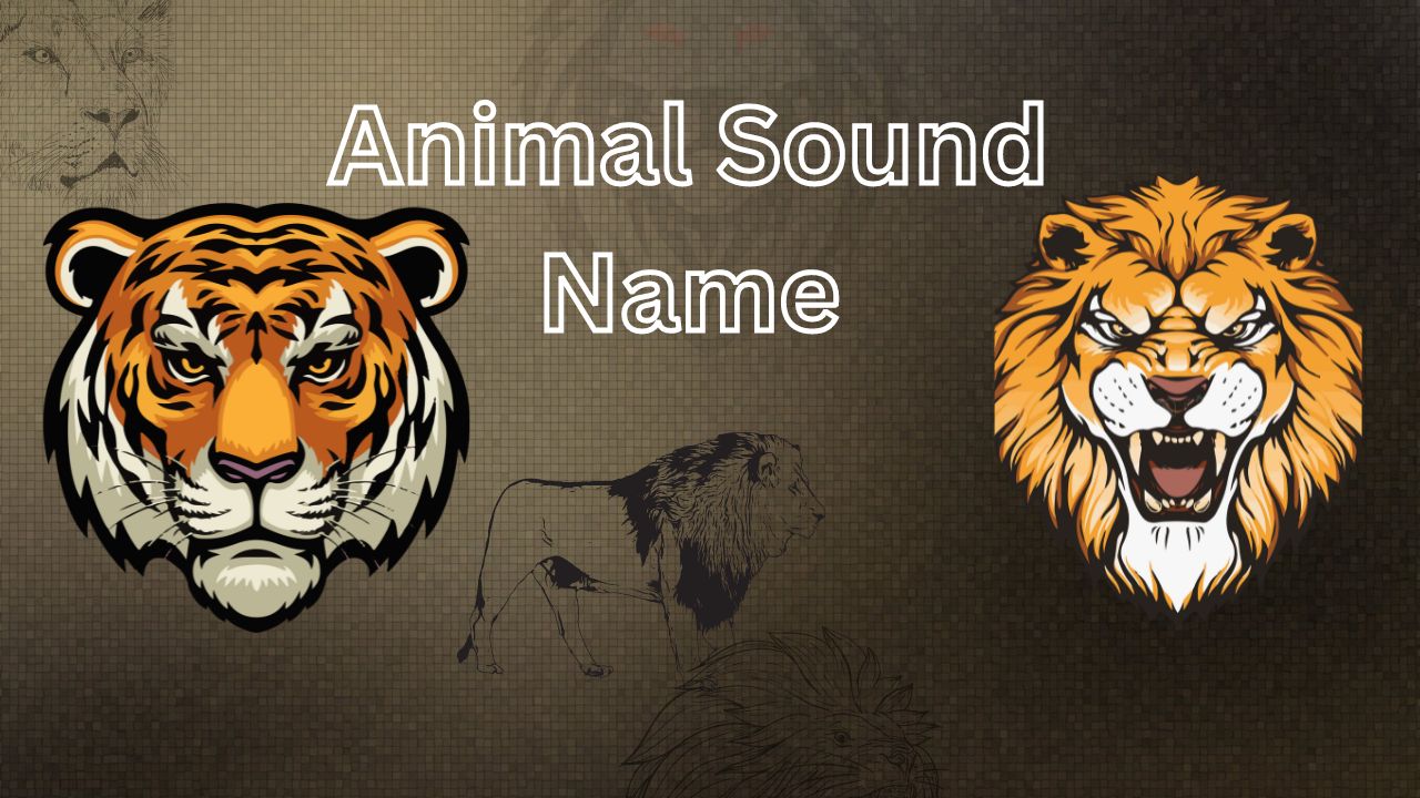 Animal Sounds in Hindi