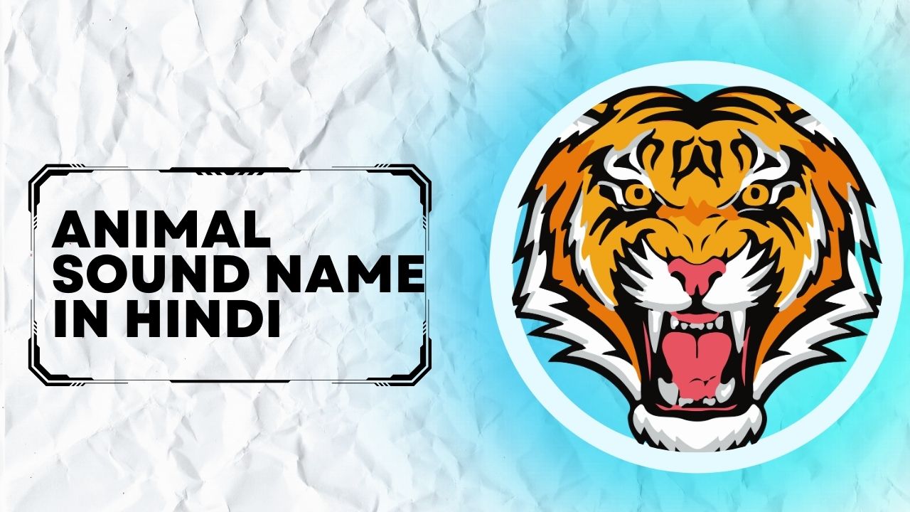 Top 20+ Animal Sound Name In Hindi